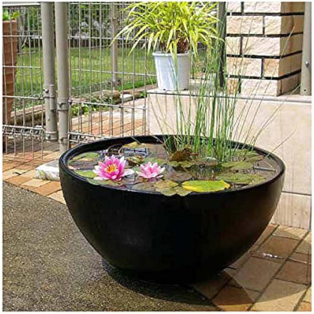 Amazon | 睡蓮鉢（メダカ鉢） 凛 RIN 丸型 ブラック M 睡蓮