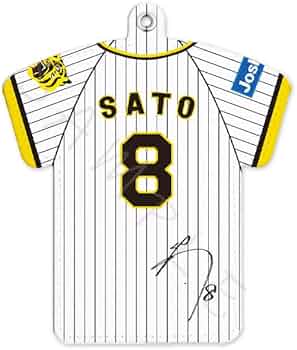 51-DpYbATPL._AC_UF350,