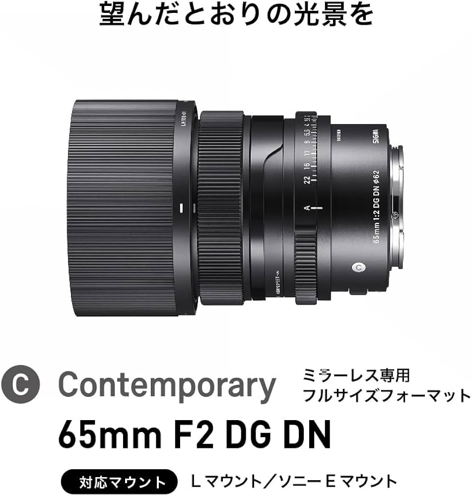 Amazon.co.jp: シグマ(Sigma) レンズ 65mm F2 DG DN Sony ソニー E
