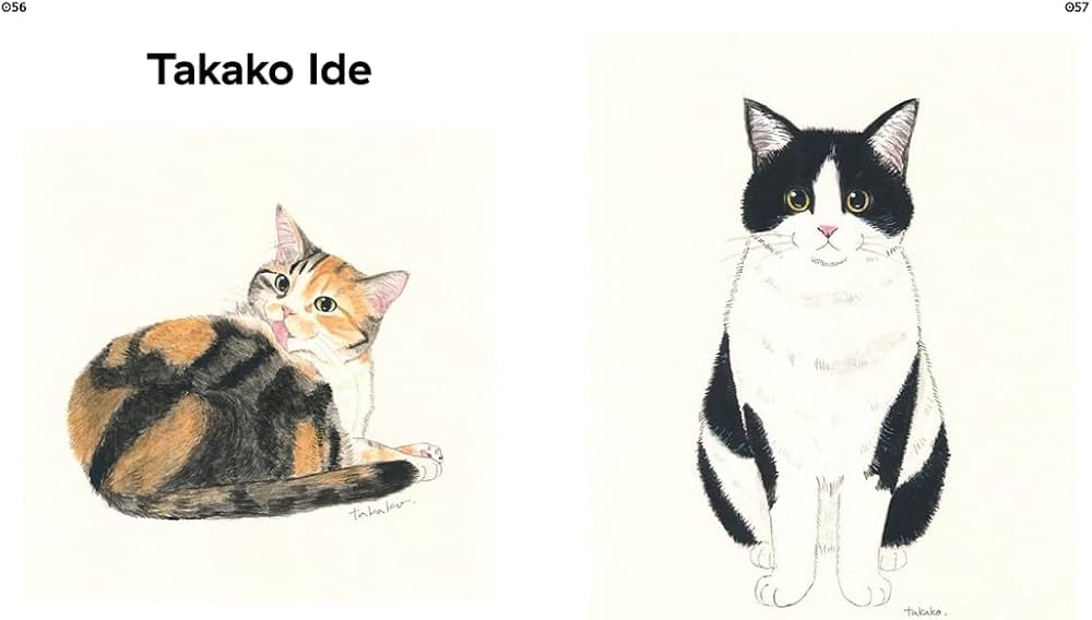 Amazon | Felinity: An Anthology of Illustrated Cats from Around