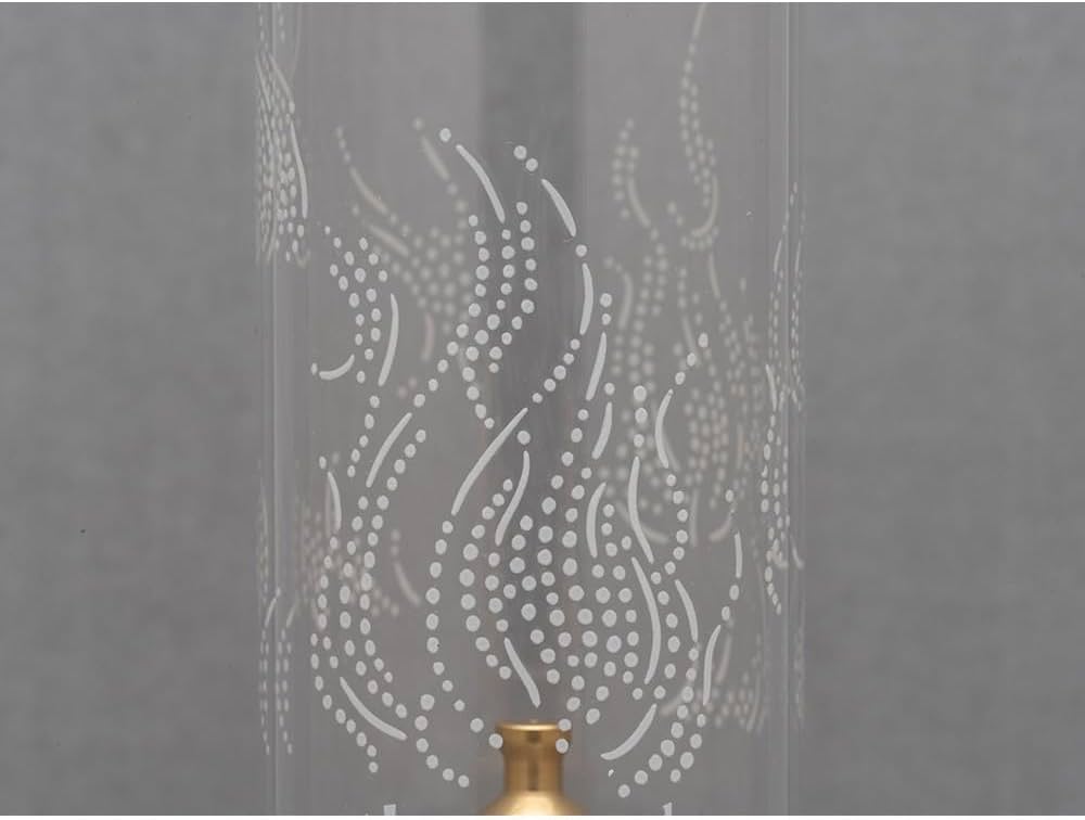 Amazon.co.jp: [スノーピーク] ランタン ガスランタン ノクターン 2022