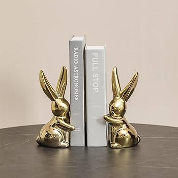 51-m4OiQqdL._AC_UF350,