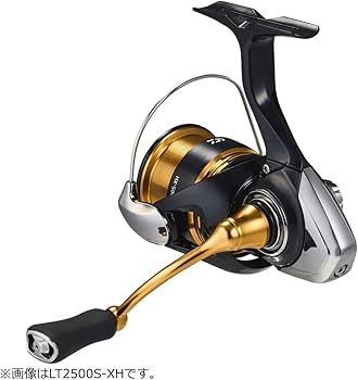Amazon.com : Daiwa LT1000S Spinning Reel 23 Regalis : Sports