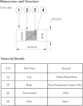 YOLISTIC (Pack of 10) 20 Amp Slow-Blow Time Delay Fuse Ceramic