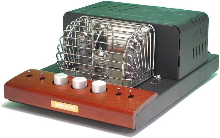 Amazon.co.jp: SOUNDWARRIOR 真空管プリメインアンプ SW-T20／城下工業