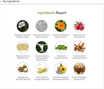 Amazon.co.jp: ルネセル [Rene Cell] アブソーバーダーマルリカバリー