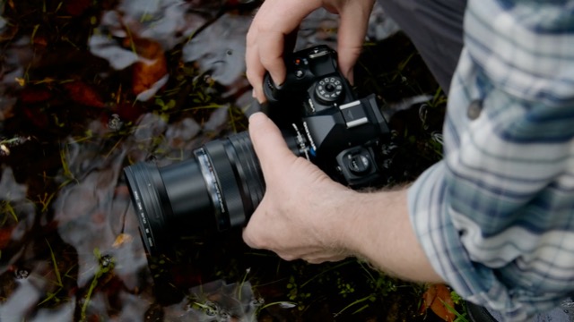 Amazon.com : Olympus M.Zuiko Digital ED 12-100mm F4.0 is PRO for