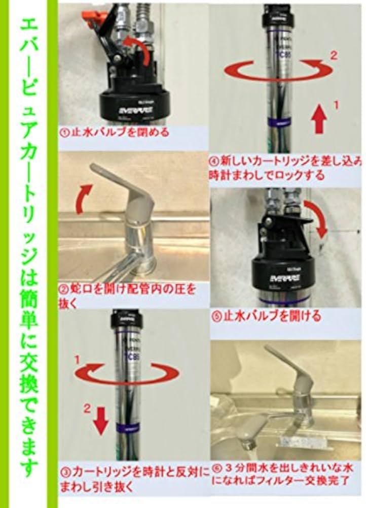 Amazon.co.jp: 《新規設置仕様》エバーピュア浄軟水器ヘッドフィルタ