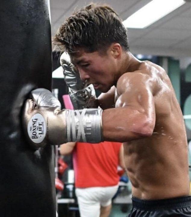 Amazon.co.jp: NO BOXING NO LIFE ボクシンググローブ : スポーツ