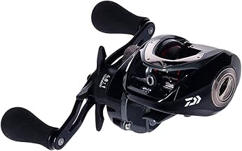 Amazon | ダイワ(DAIWA) フネ X 100H 両軸リール | ダイワ(DAIWA