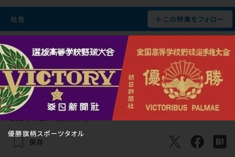 Amazon.co.jp: 、高校野球 甲子園 優勝旗タオル : おもちゃ