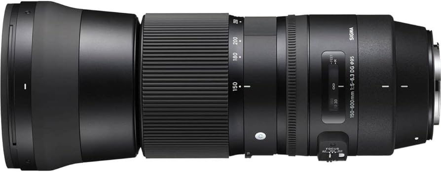 Amazon.co.jp: SIGMA 150-600mm F5-6.3 DG OS HSM | Contemporary C015