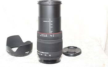 Amazon.co.jp: シグマ 28-300mm F3.5-6.3 DG MACRO ソニー用 : 家電