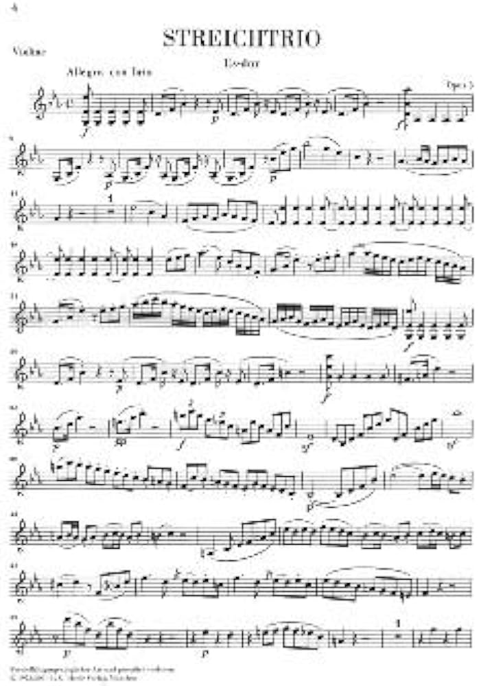 Amazon.co.jp: ベートーヴェン : 弦楽二重奏曲・三重奏曲集/ヘンレ社