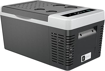 Amazon.co.jp: LOSRECAL: LOSRECAL