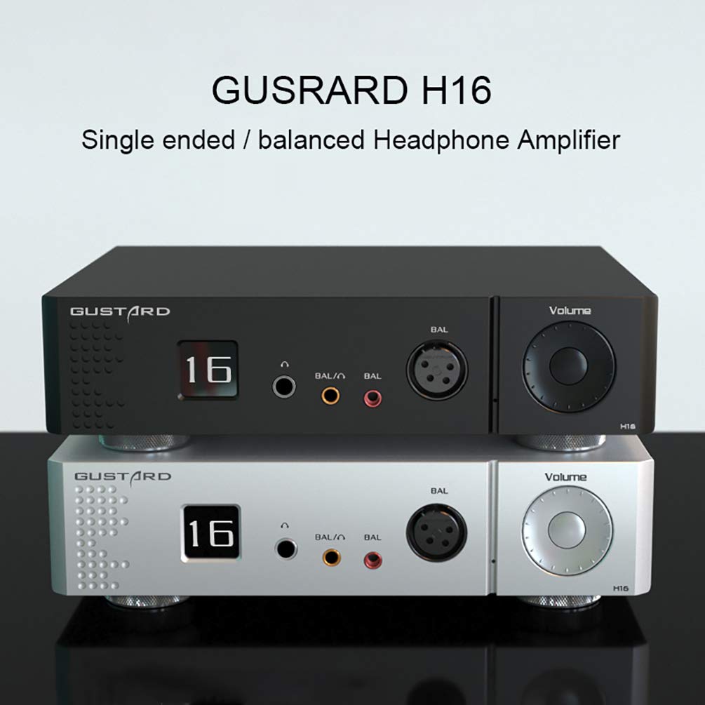 Amazon.co.jp: GUSTARD H16 OLEDディスプレイ シングルエンド 6.35