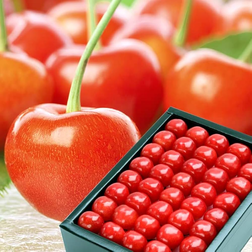 Amazon.co.jp: 山形県産 さくらんぼ 佐藤錦 500g (特秀品/2Lサイズ