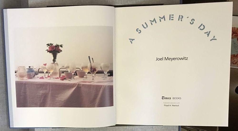SUMMER'S DAY: Meyerowitz, Joel: 9780812911824: Amazon.com: Books