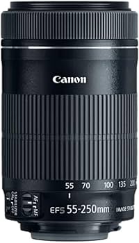 Amazon.com : Canon EF-S 55-250mm F4-5.6 is STM Lens for Canon SLR