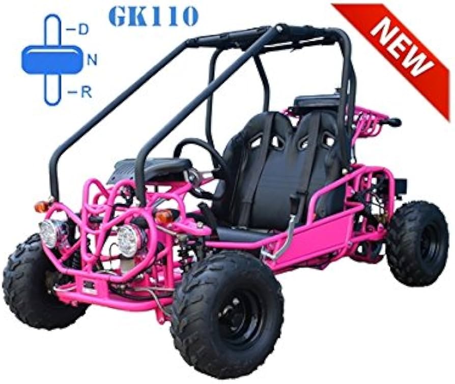 Amazon.com: 125cc Gokart Gk110 Kandi Mini Raptor 125cc Kart Gokart
