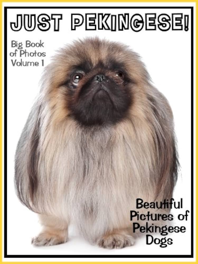 Amazon.com: Just Pekingese Photos! Big Book of Pekingese Dog Breed