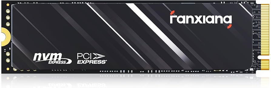Amazon.com: fanxiang S501Q SSD 1TB PCle 3.0x4 Internal Solid State
