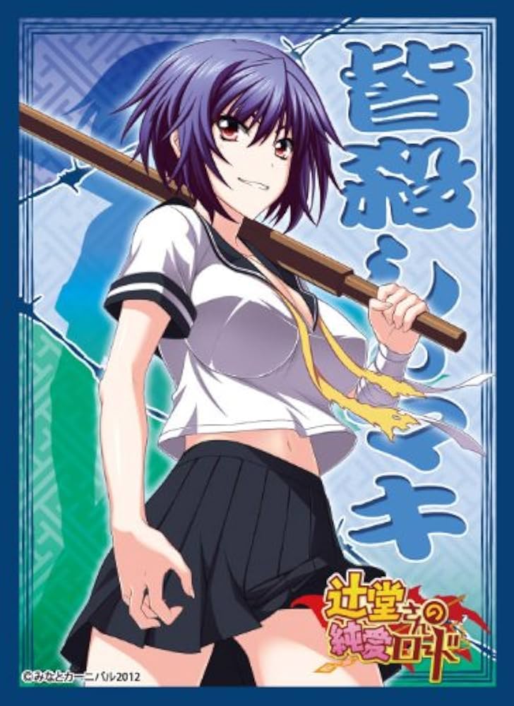 Amazon | キャラクタースリーブコレクション 辻堂さんの純愛ロード