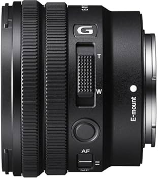 Amazon.com : Sony E PZ 10-20mm F4 G Lens Bundle (SELP1020G) with