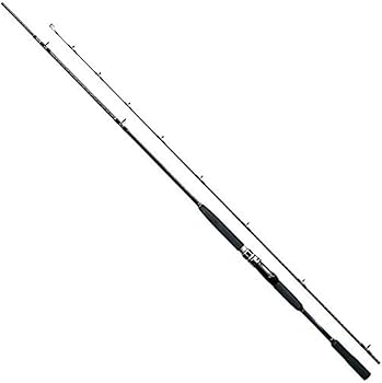 Amazon | シマノ(SHIMANO) ロッド 船竿 20 シーマイティX TYPE64 30
