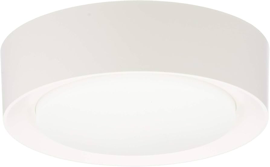 Amazon | 大光電機 DAIKO LED小型シーリング LED内蔵 天井付・壁付兼用