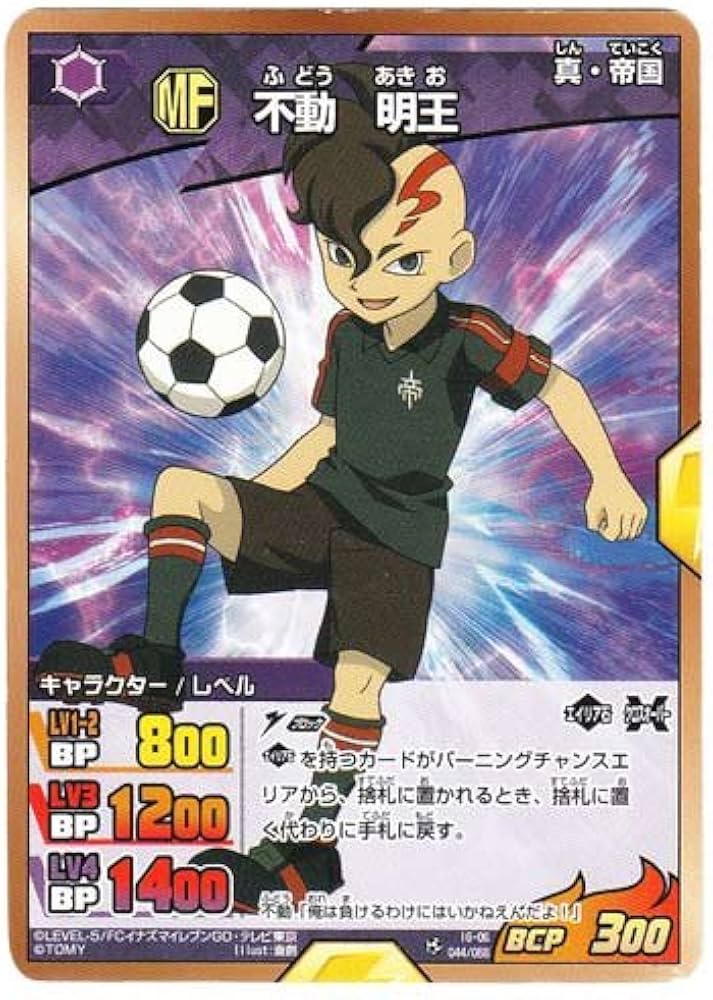 Amazon.co.jp: イナズマイレブンGO TCG 不動 明王(C) IG-06-044 : おもちゃ
