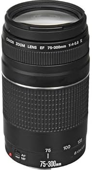 Amazon.com : Canon EF 75-300mm f/4-5.6 III Telephoto Zoom Lens for