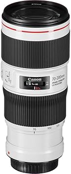Amazon.com : Canon EF 70-200mm f/4L IS II USM Lens for Canon