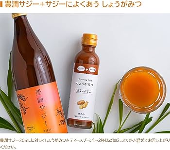 Amazon.co.jp: サジーによくあうしょうがみつ フィネス 豊潤サジー