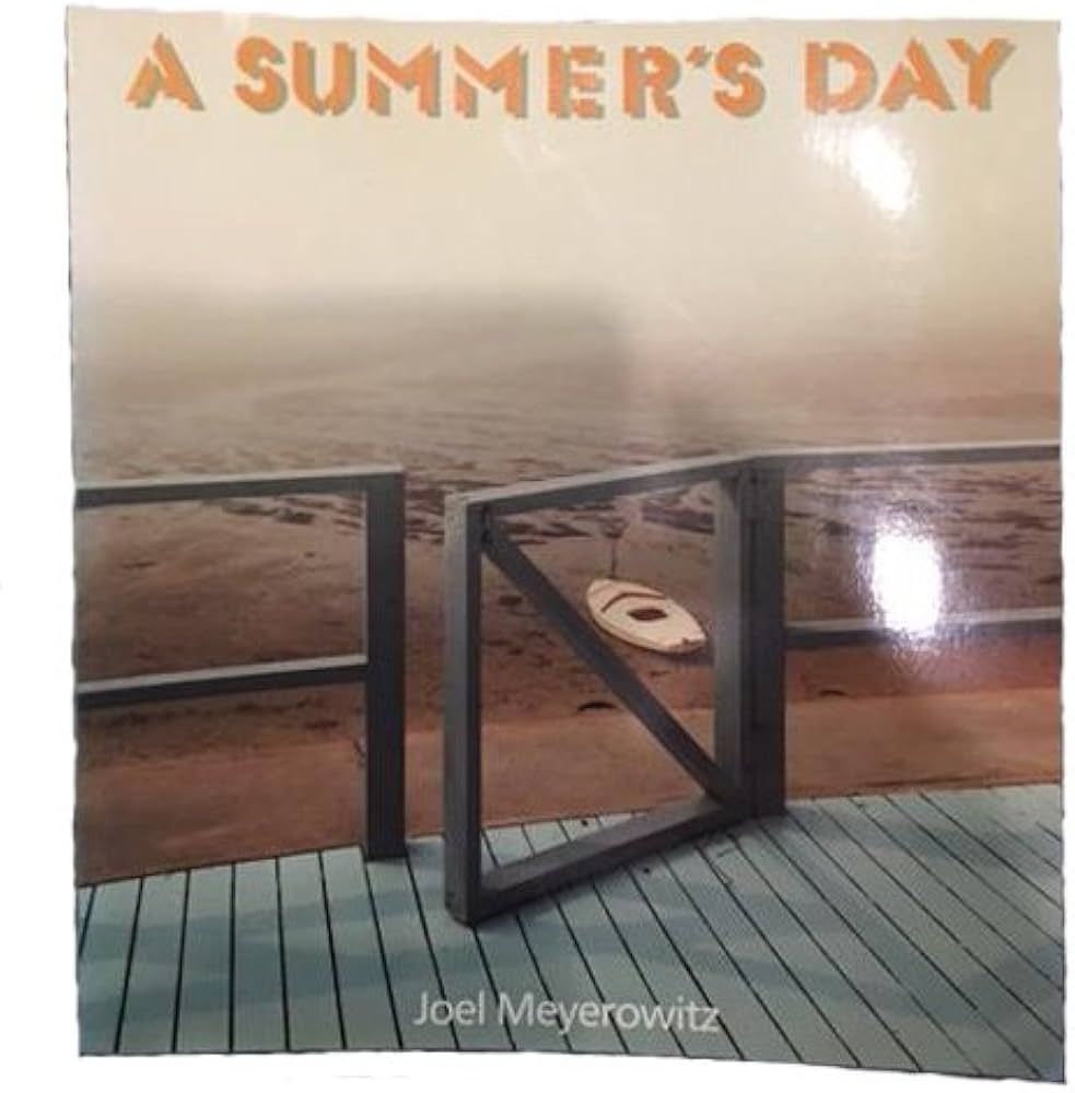 A Summer's Day: Meyerowitz, Joel: 9780812916430: Amazon.com: Books