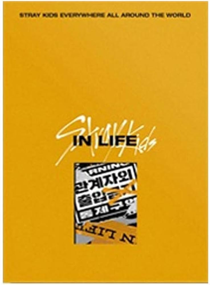 Amazon.com: Stray Kids in Life IN生 The 1st Album Repackage