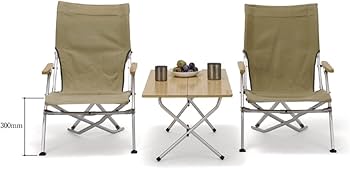 Amazon.co.jp: スノーピーク(snow peak) チェア ローチェア30 カーキ