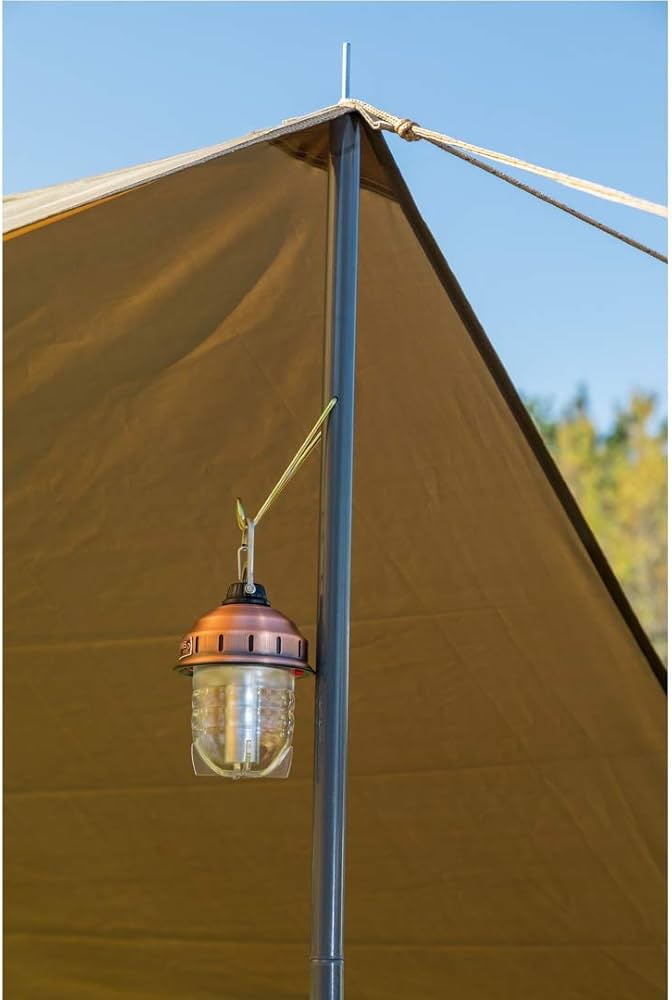 51wLOyL0Z2L._AC_UF894,