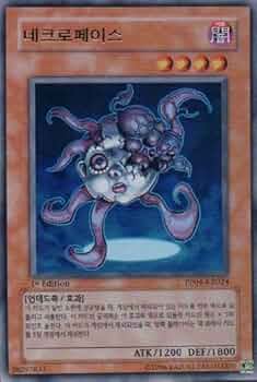 51wRwyTxigL._AC_UF350,