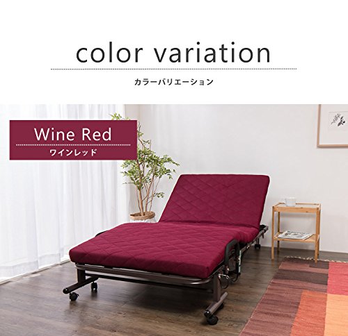 Amazon.co.jp: ビータ(Vita) 電動折りたたみメッシュキルトベッド