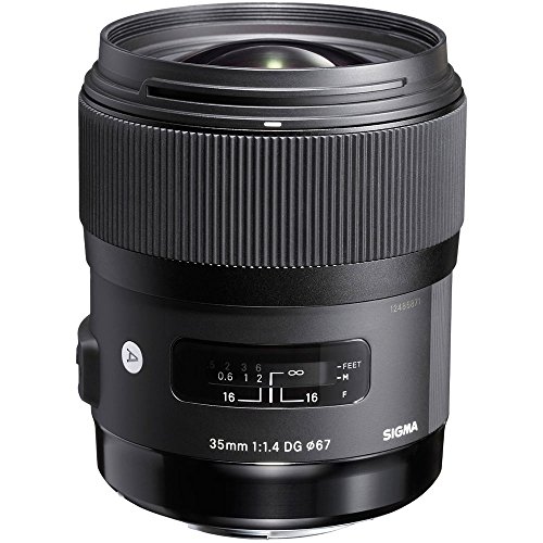Amazon.co.jp: Art 35mm F1.4 DG HSM ソニー用 フルサイズ対応 : 家電