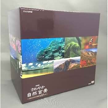 51xKXf4-LEL._AC_UF350,