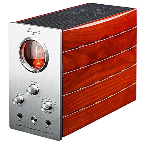 Amazon.co.jp: Cayin HA-1A MK2 真空管ヘッドホンアンプ シルバー