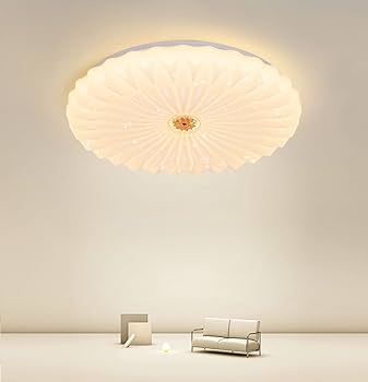 Amazon.co.jp : YOULIN LED シーリングライト 心に咲く蓮の花 星空効果