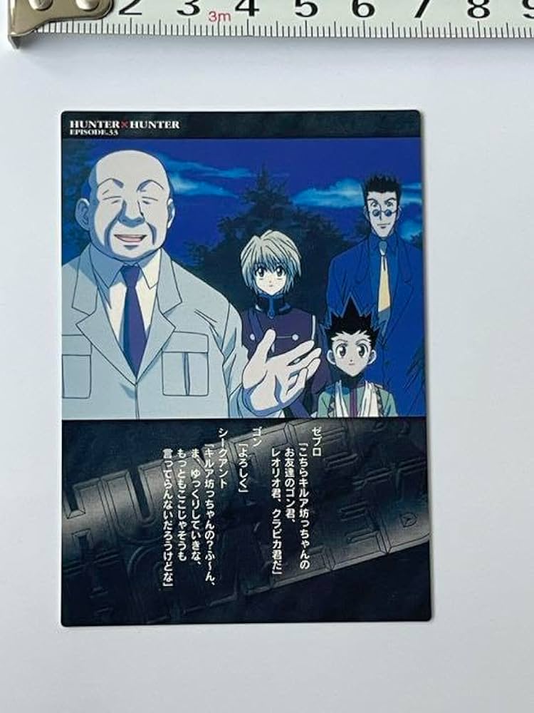 Amazon.co.jp: 希少品 HUNTER×HUNTER カードダスマスターズ ゼブロ
