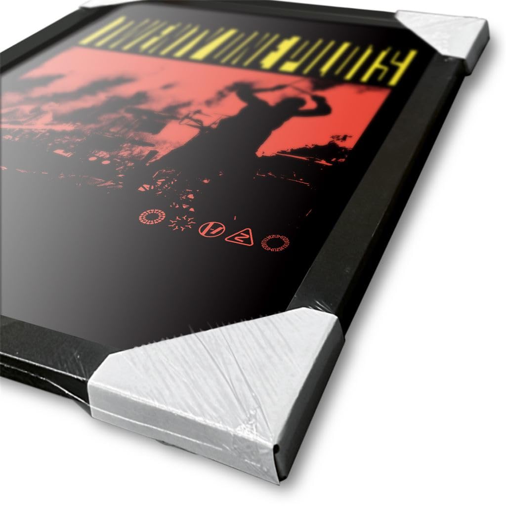 Amazon.com: Pyramid International 21 Pilots (Live Fire) Collector