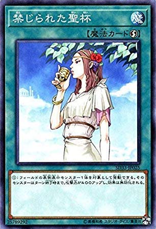 Amazon.co.jp: 遊戯王/禁じられた聖杯（ノーマル）/STRUCTURE DECK
