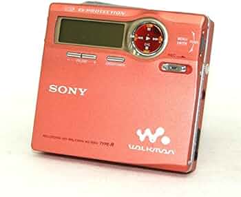 51y1gHrNuwL._AC_UF350,