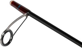 Amazon | ジャクソン(Jackson) カワセミラプソディ KWSM-S41L-5P