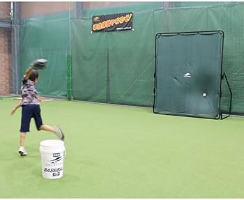 Amazon | 野球 フィールドフォース 壁ネット・グリーンモンスター FKB